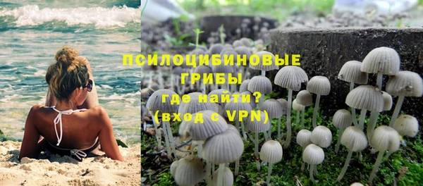 a pvp Алексеевка