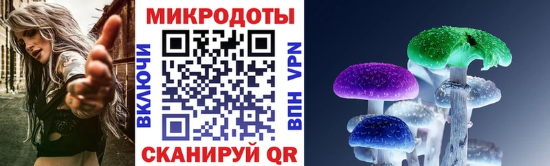 Галлюциногенные грибы Cubensis  blacksprut ссылки  Нижняя Салда 